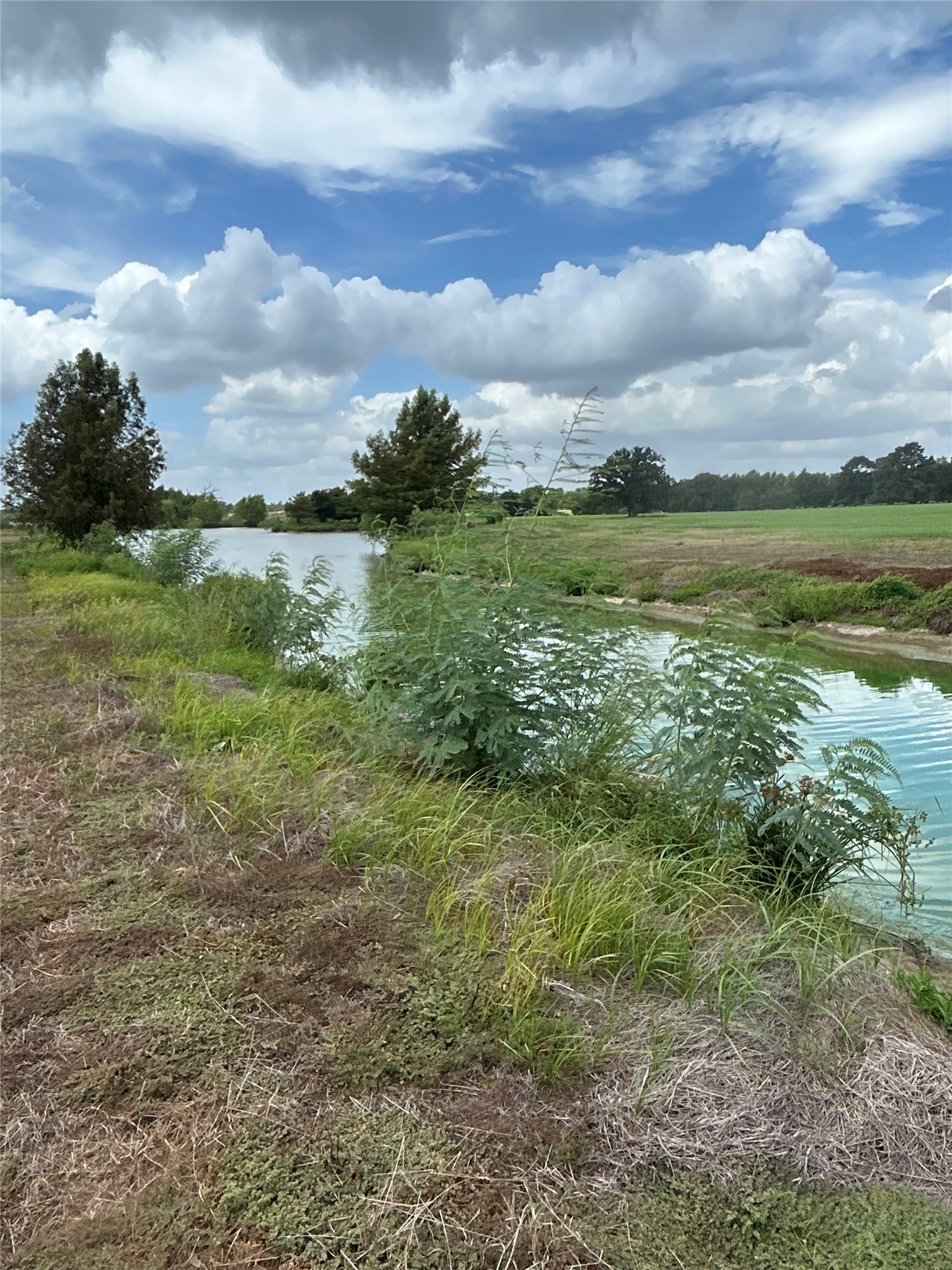 0 Old Potato Road Paige, TX 78659 - Photo 1 of 6 View from the property--Neighbor's pond at the edge of the property