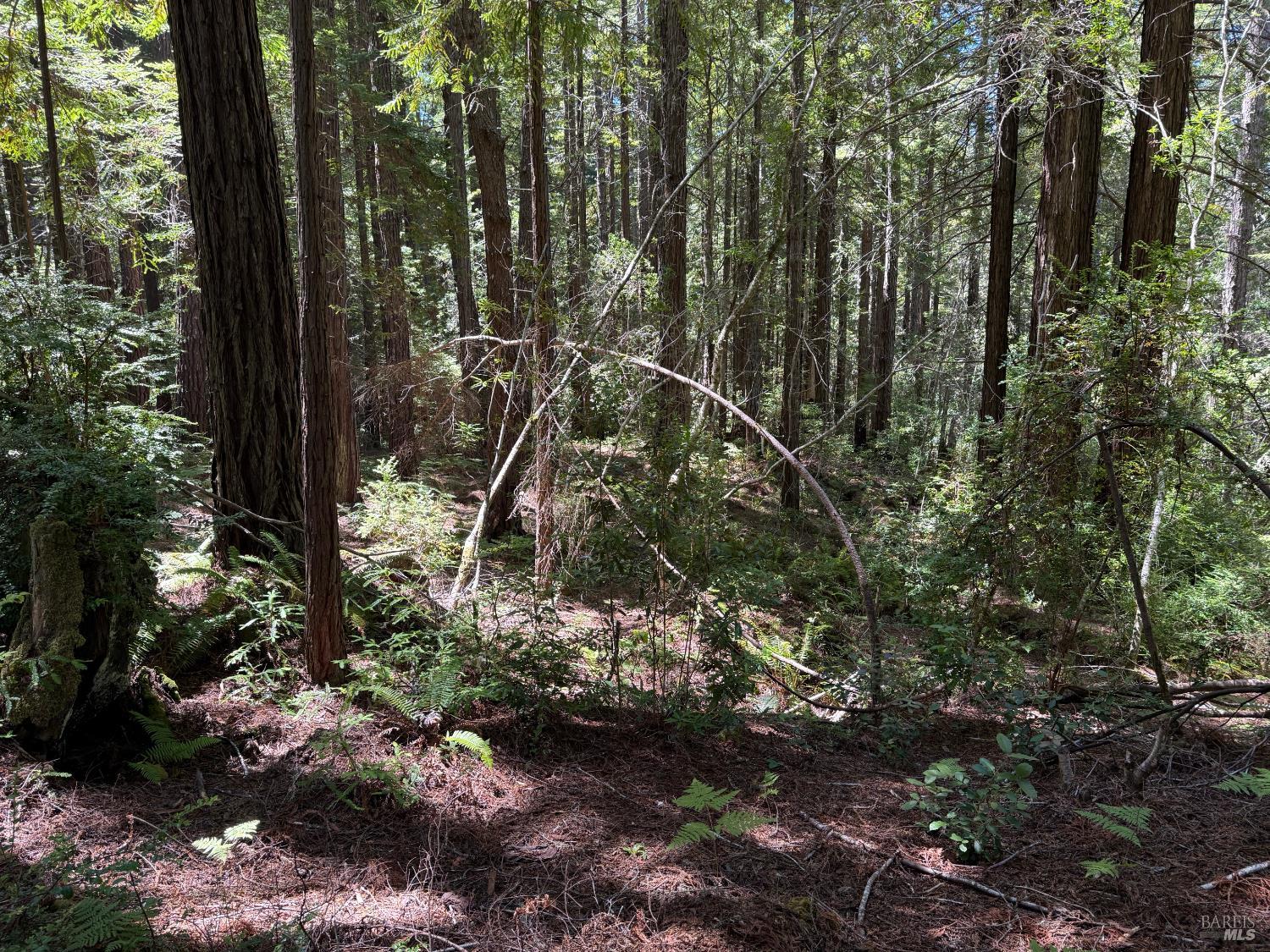 35206 Fly Cloud Road The Sea Ranch, CA 95497 - Photo 7 of 12 Gallery Image 7
