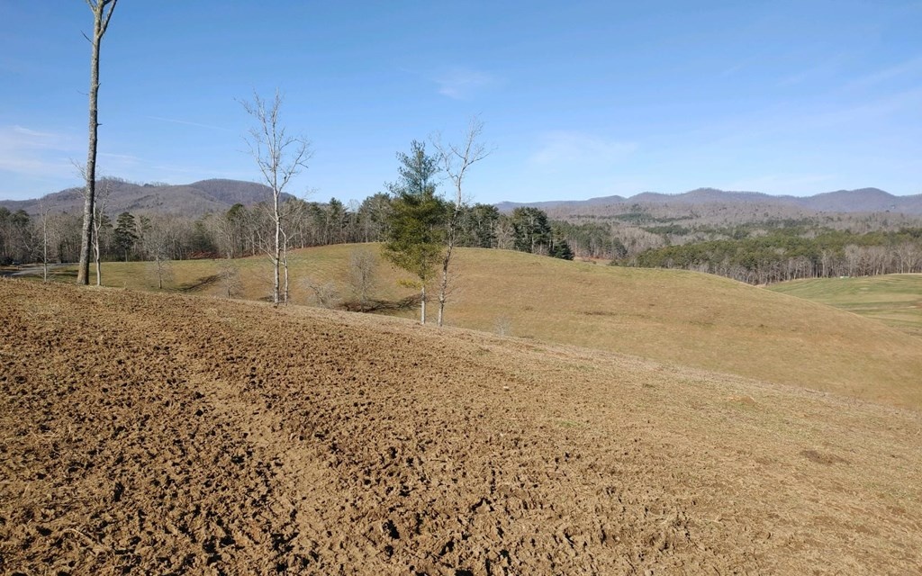 Old Culberson Road Murphy, NC 28906 - Photo 3 of 9 Additional View