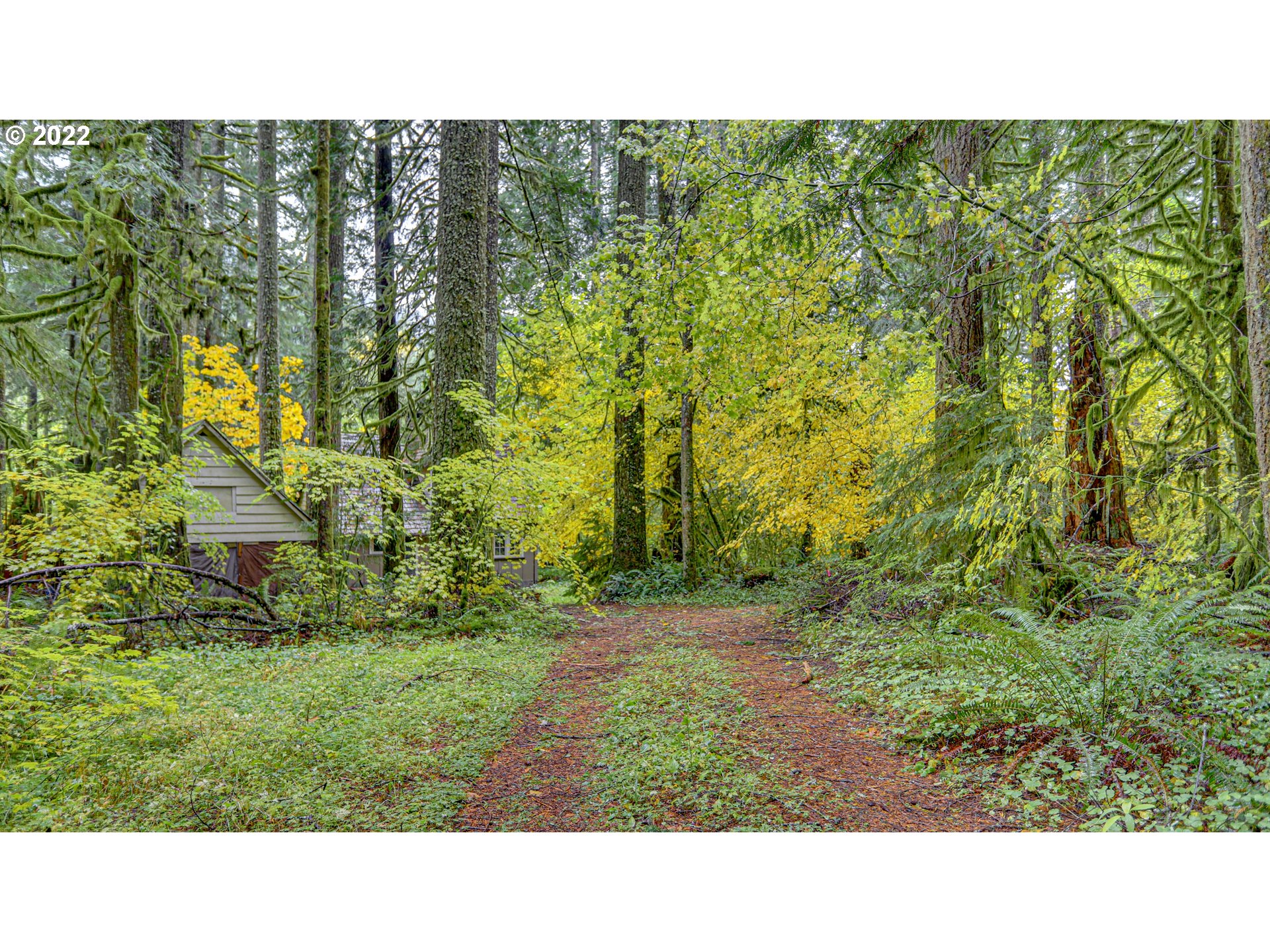 26097 East Henry Creek Road Rhododendron, OR 97049 - Photo 3 of 32 Gallery Image 3