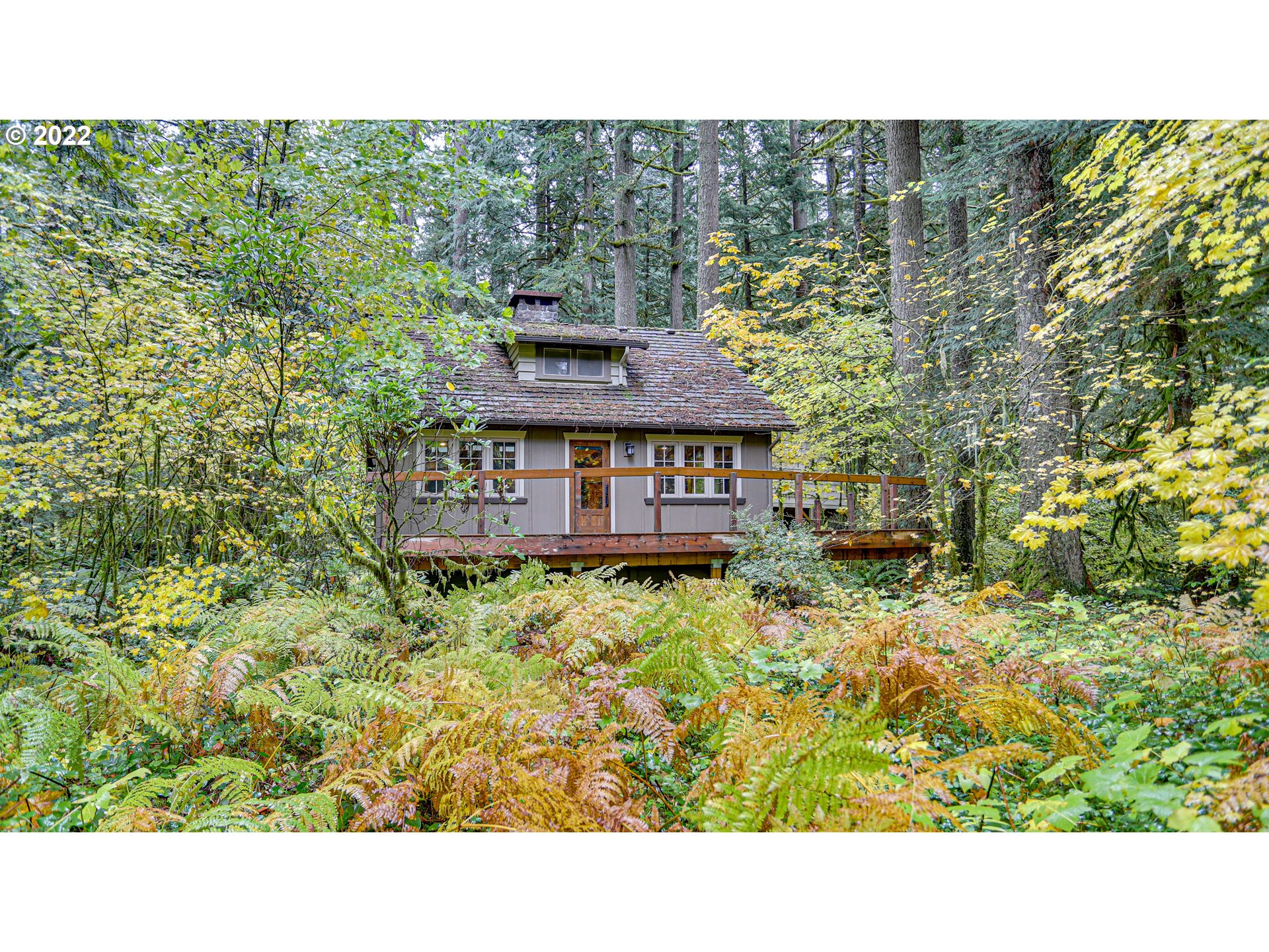 26097 East Henry Creek Road Rhododendron, OR 97049 - Photo 5 of 32 Gallery Image 5