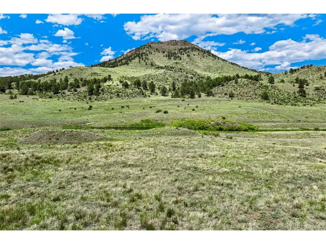 a view of a lush green hillside and a houses