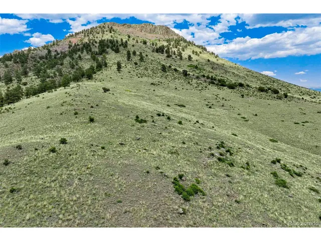 a view of a large mountains with lots of trees