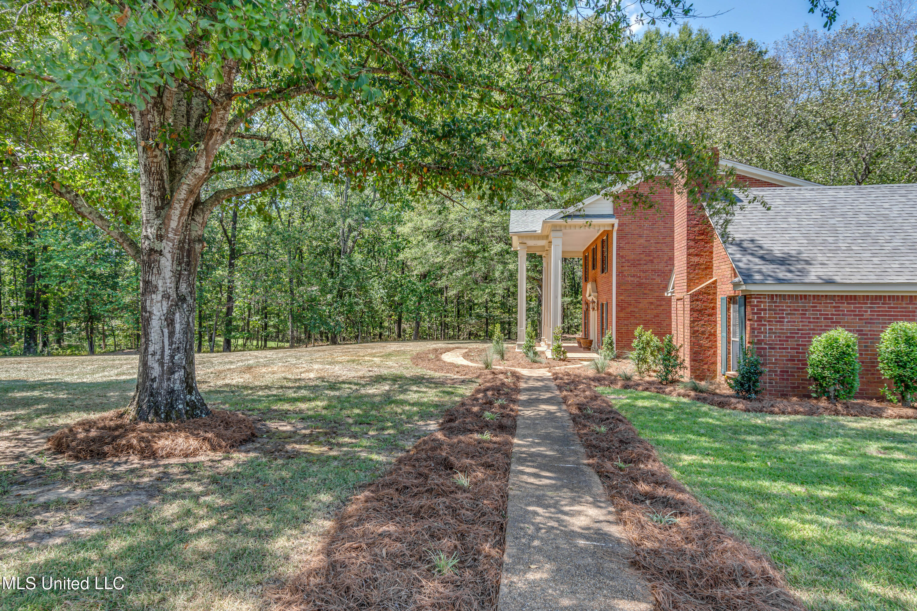 362 Robinson Springs Road Flora, MS 39071 - Photo 8 of 77 362 Robinson Springs Road-21
