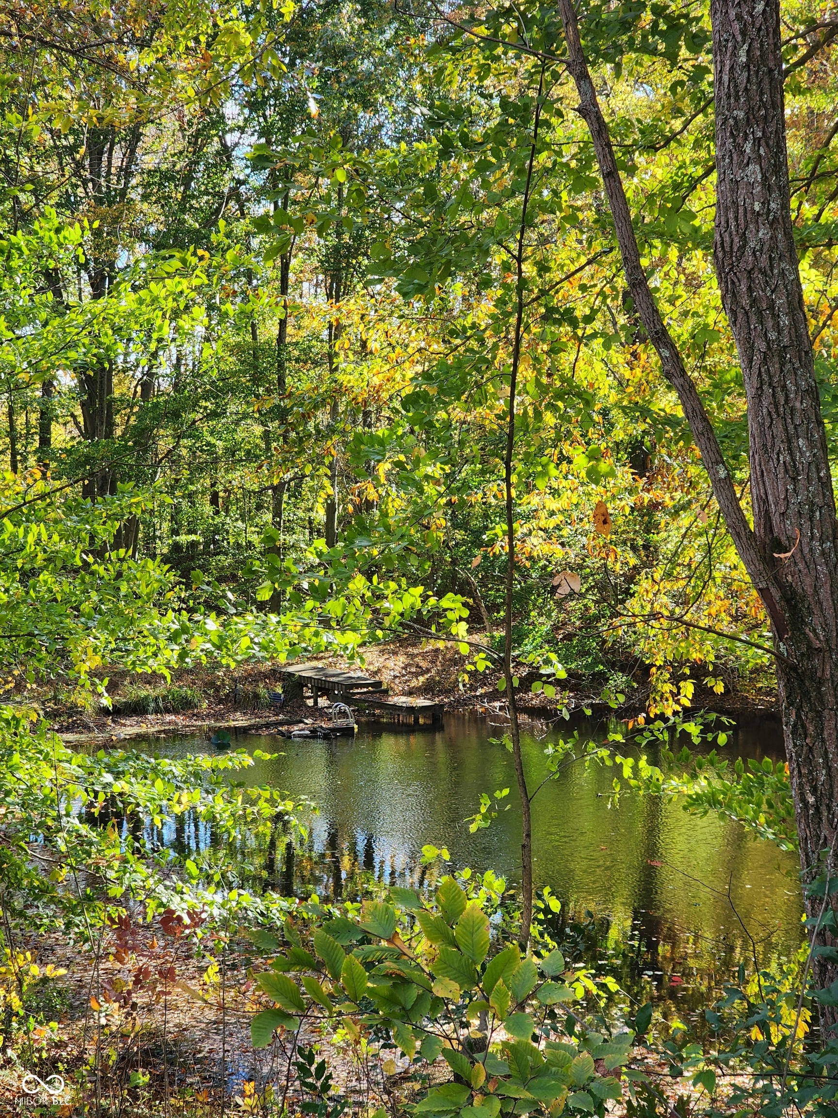 5747 West Lost Branch Road Nashville, IN 47448 - Photo 46 of 48