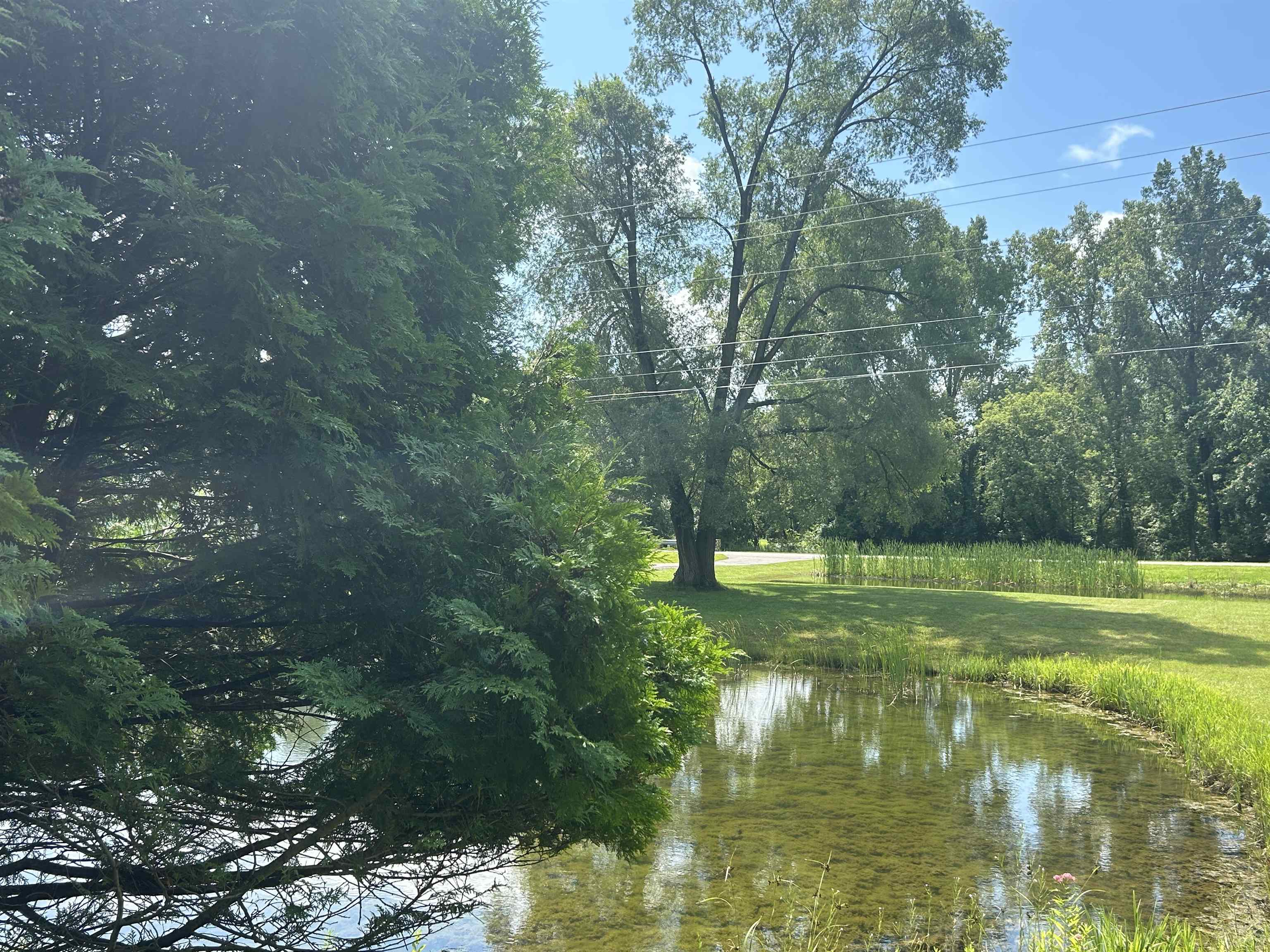 5974 Barnes Road Millington, MI 48746 - Photo 9 of 31