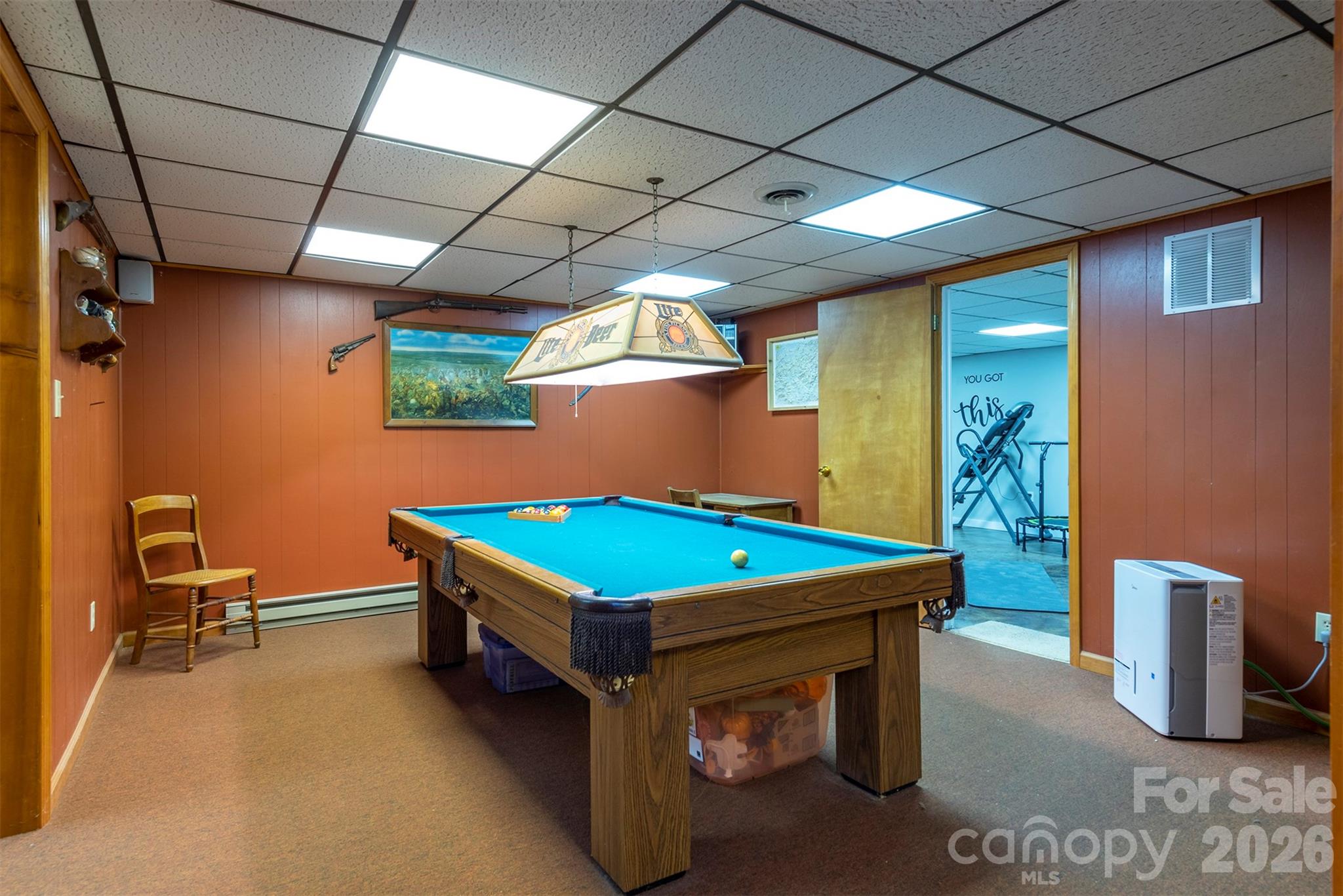 10 Chestnut Ridge Road Mills River, NC 28759 - Photo 21 of 46