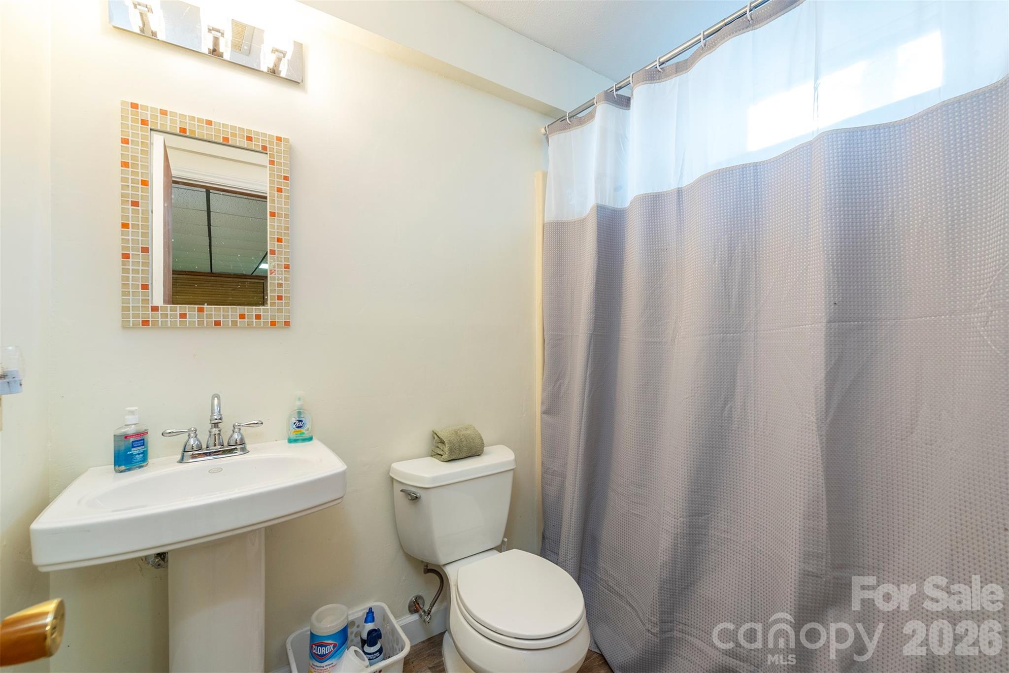 10 Chestnut Ridge Road Mills River, NC 28759 - Photo 26 of 46