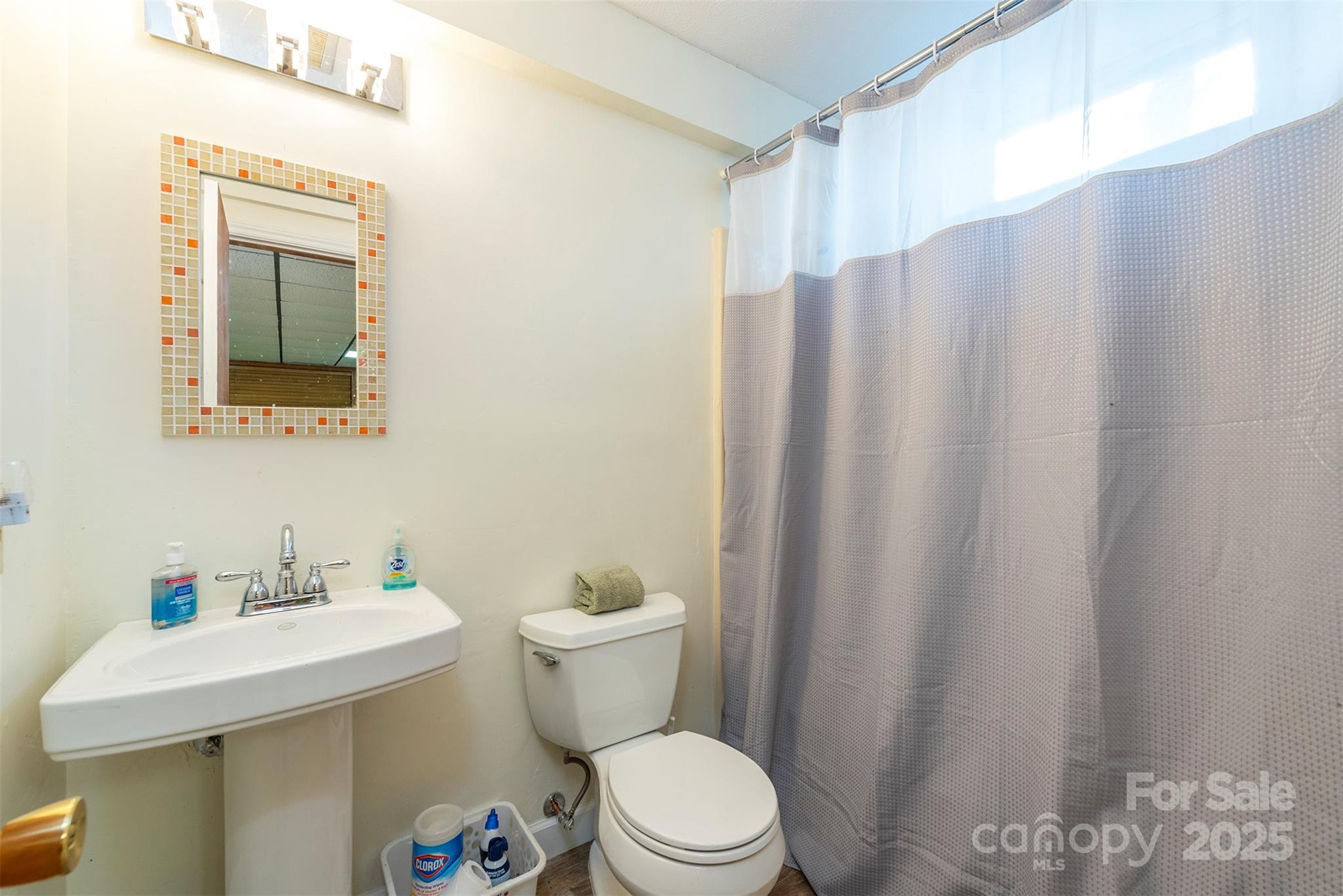 10 Chestnut Ridge Road Mills River, NC 28759 - Photo 28 of 47 a bathroom with a sink a toilet and shower curtain