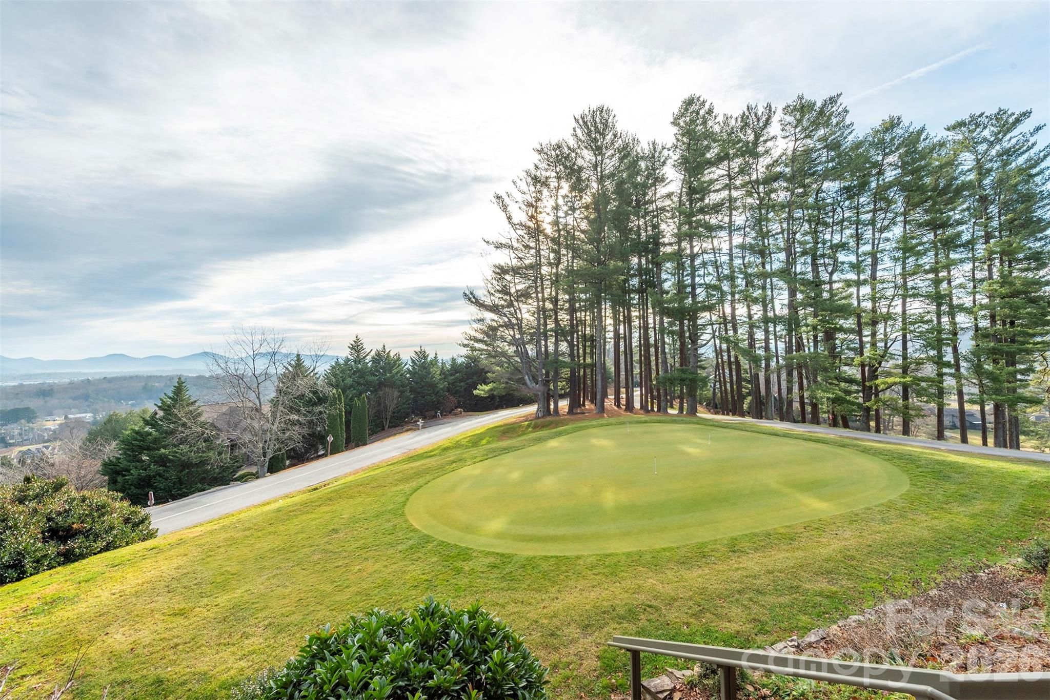 10 Chestnut Ridge Road Mills River, NC 28759 - Photo 31 of 46