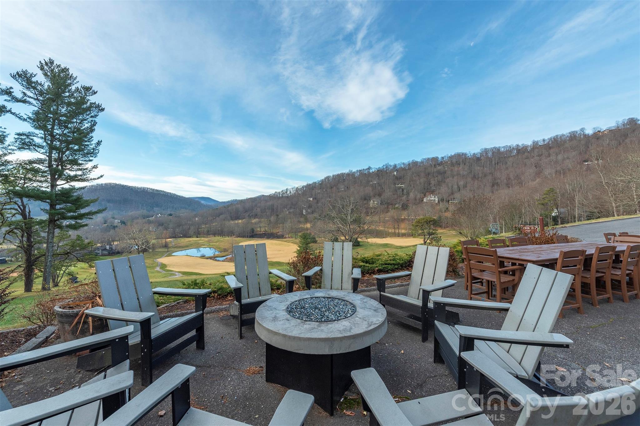 10 Chestnut Ridge Road Mills River, NC 28759 - Photo 34 of 46