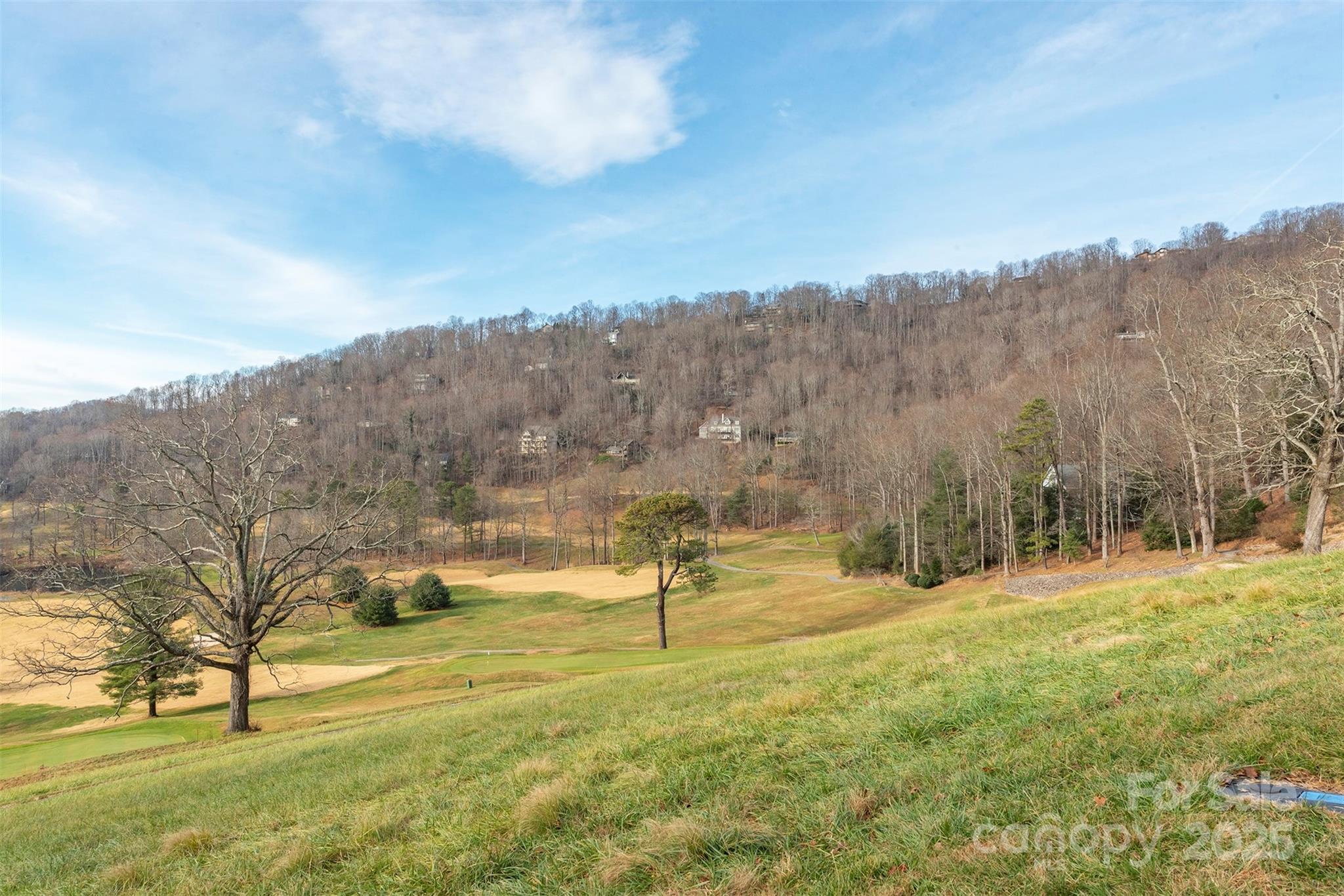 10 Chestnut Ridge Road Mills River, NC 28759 - Photo 35 of 47 a view of outdoor space with city view