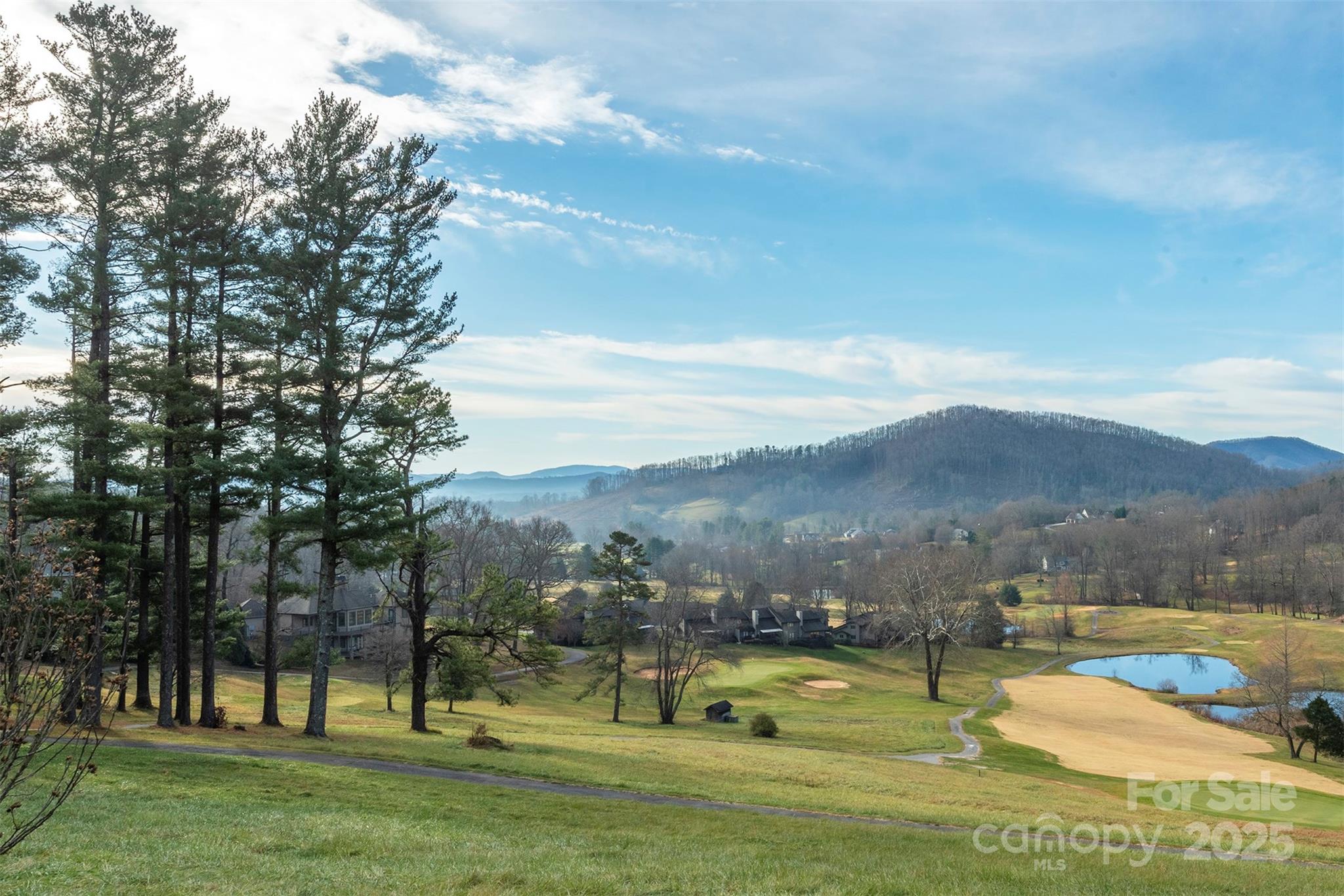 10 Chestnut Ridge Road Mills River, NC 28759 - Photo 36 of 47 a view of a town with mountains in the background