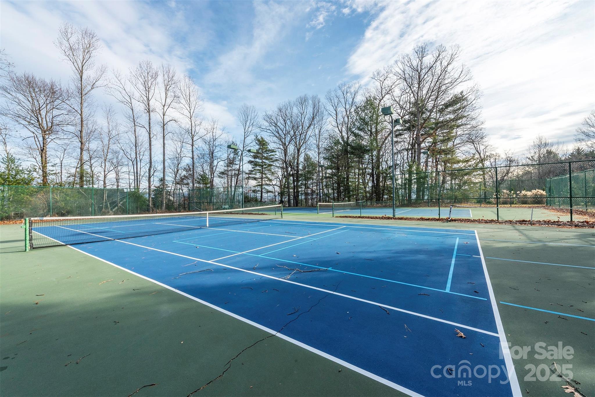 10 Chestnut Ridge Road Mills River, NC 28759 - Photo 39 of 47 a view of a tennis court