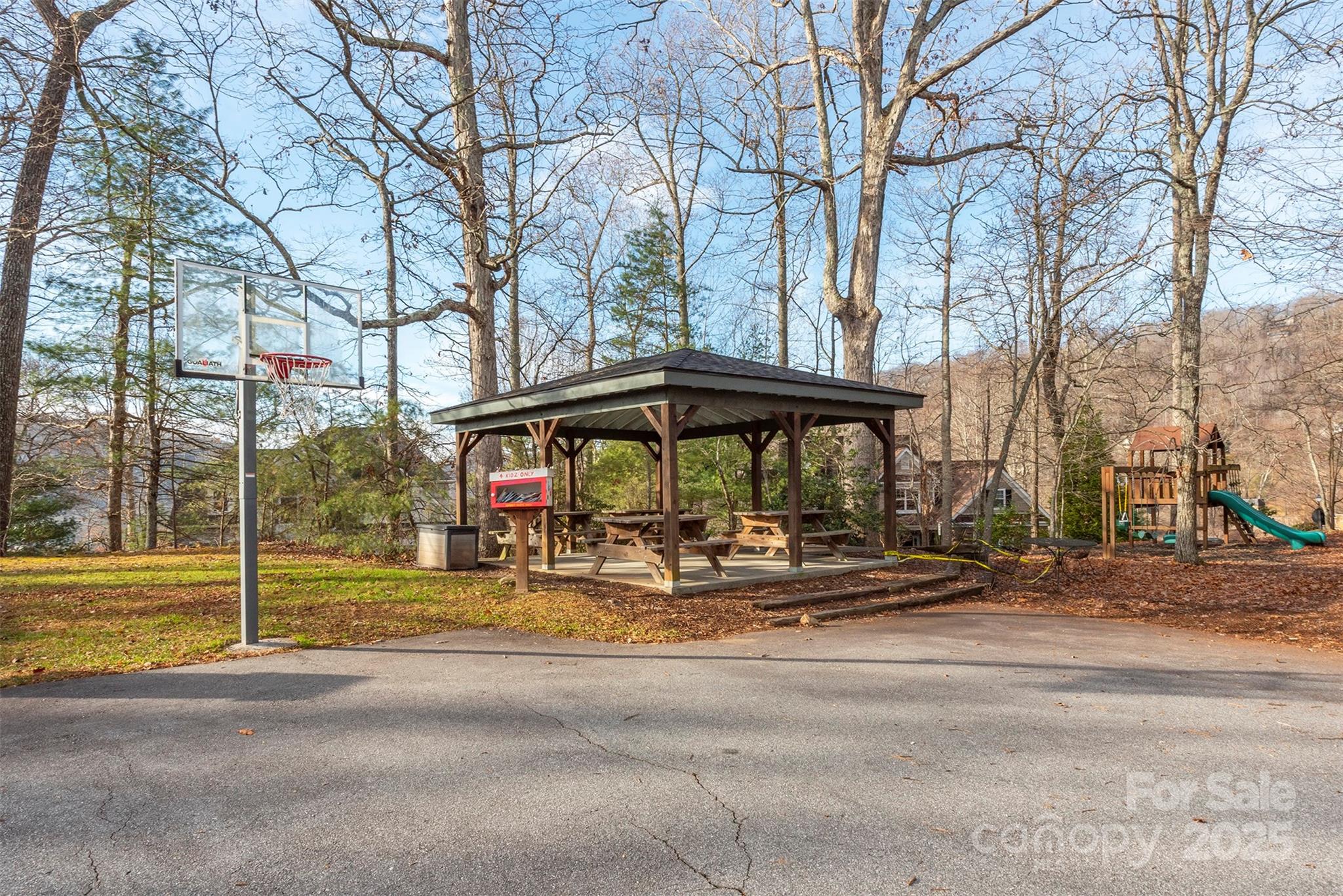 10 Chestnut Ridge Road Mills River, NC 28759 - Photo 40 of 47