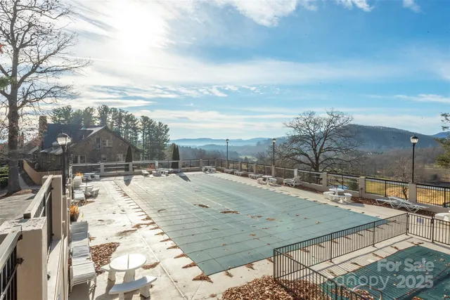 a close up of a plant in a yard