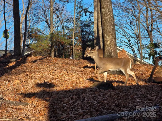 $639,000 | 10 Chestnut Ridge Road, Mills River, NC 28759