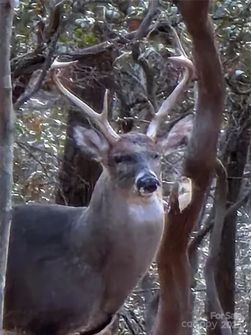 $639,000 | 10 Chestnut Ridge Road, Mills River, NC 28759