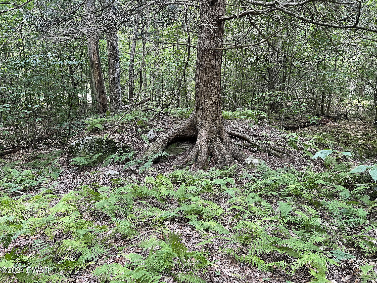 0 Rotten Road Equinunk, PA 18417 - Photo 20 of 20