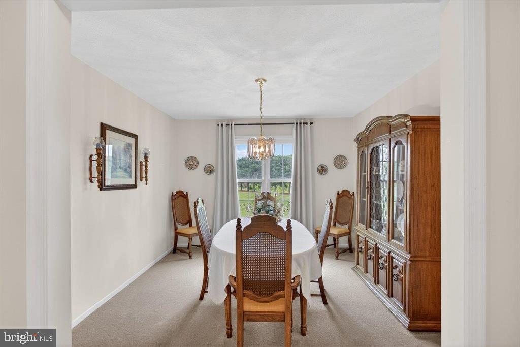 2220 Pine Woods Road Quicksburg, VA 22847 - Photo 27 of 55