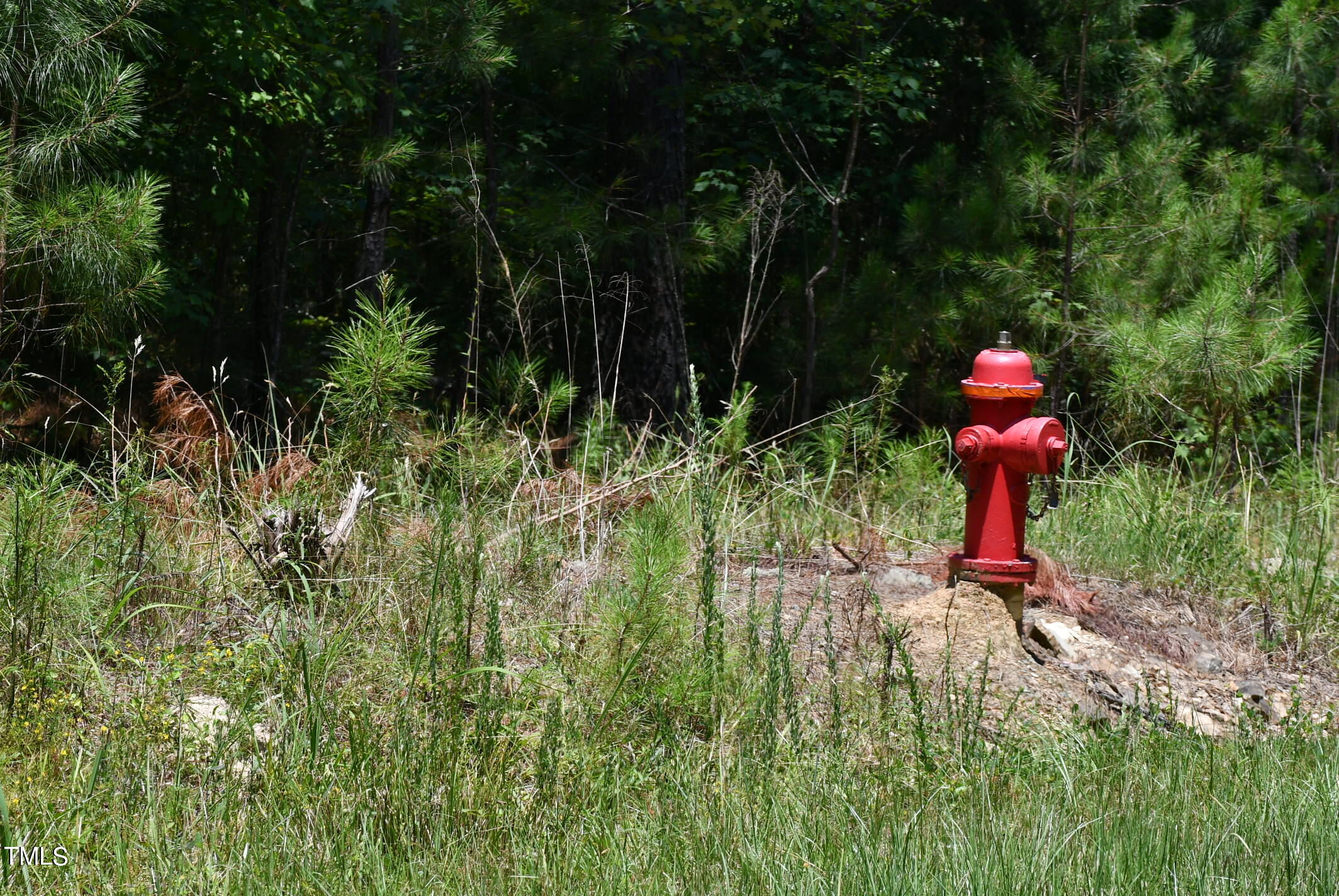 260 Gade Bryant Road Moncure, NC 27559 - Photo 7 of 7 Water at Street
