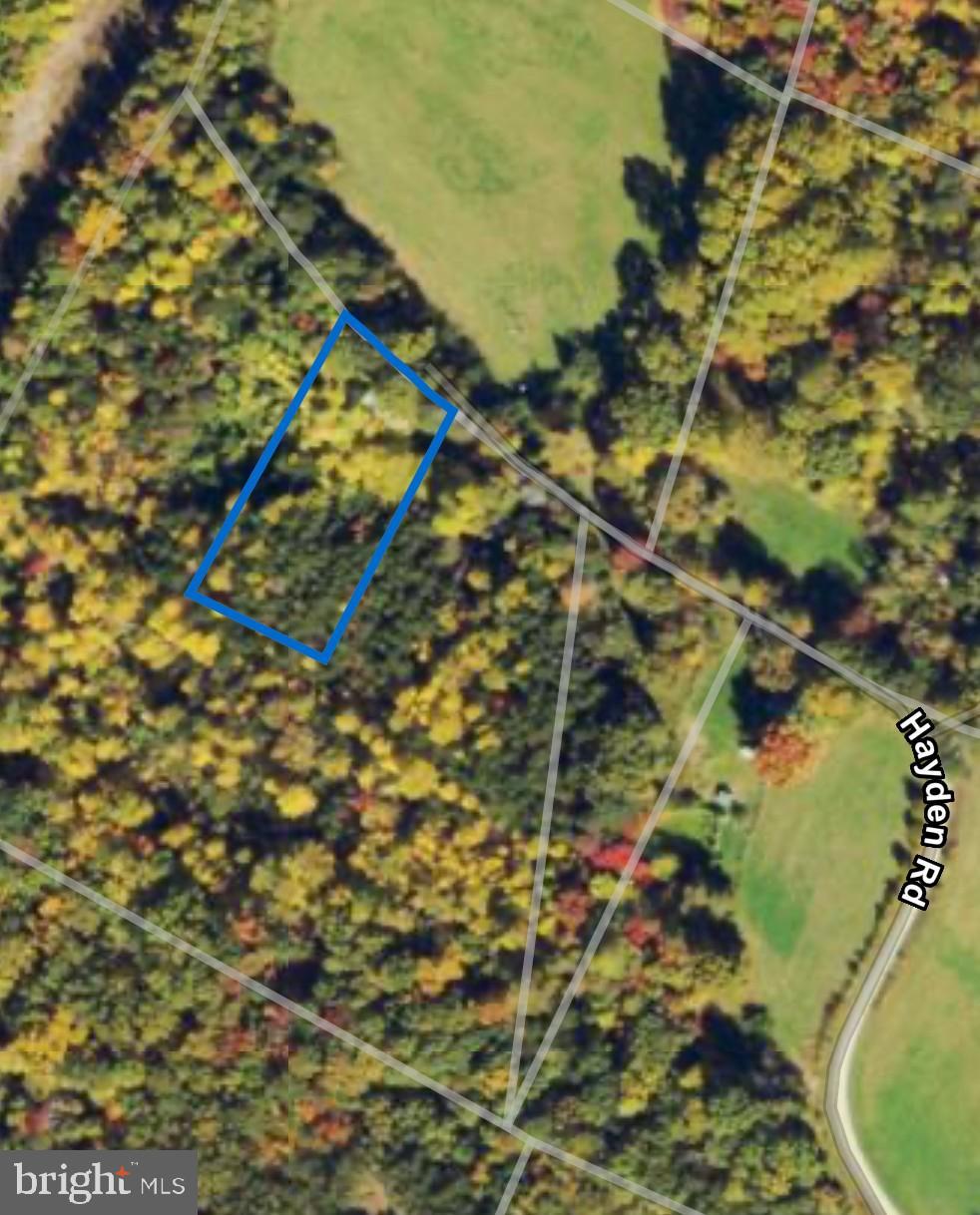 10012 Hayden Road Spotsylvania, VA 22551 - Photo 1 of 1 Secluded woodland retreat awaits your vision.