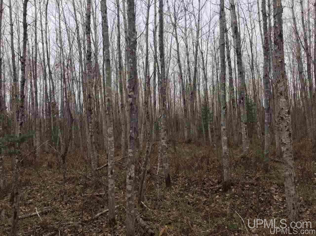 Tbd Off River Road, Unit 1 Hermansville, MI 49847 - Photo 2 of 12 Gallery Image 2
