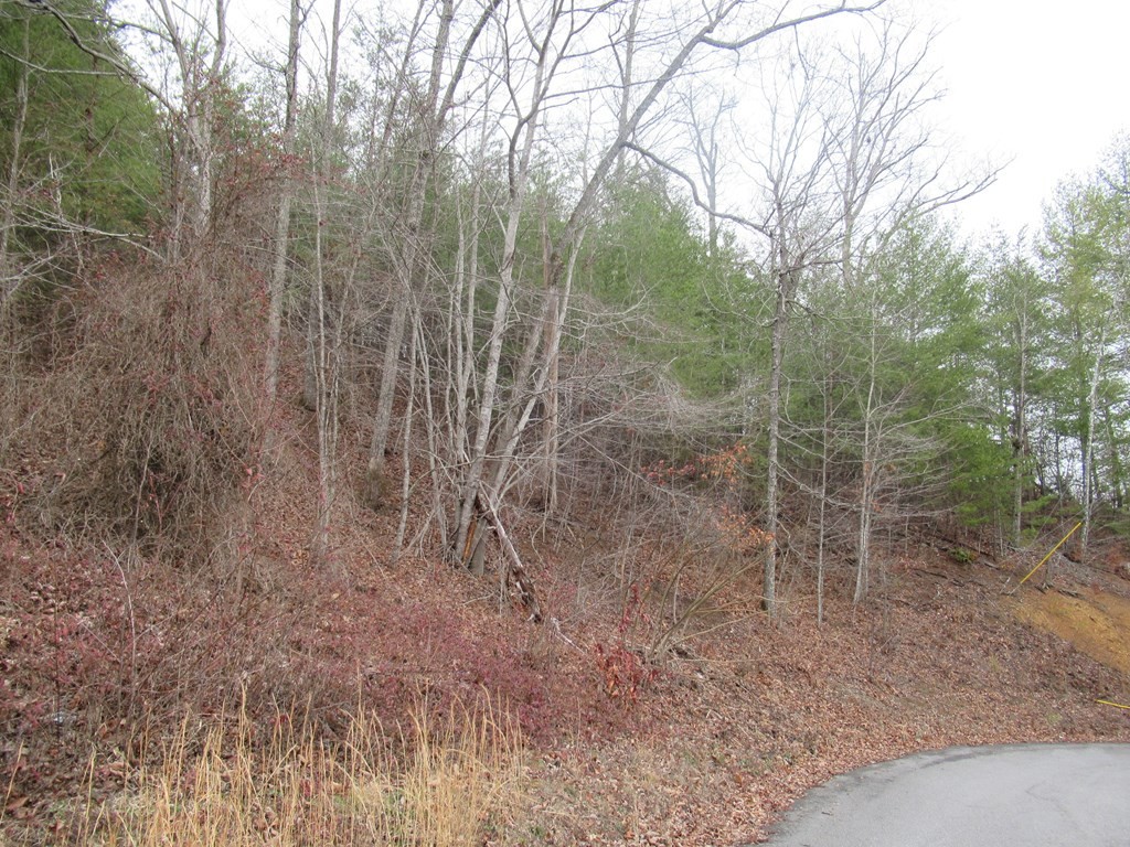 156 Bear Valley Road Sevierville, TN 37876 - Photo 5 of 15