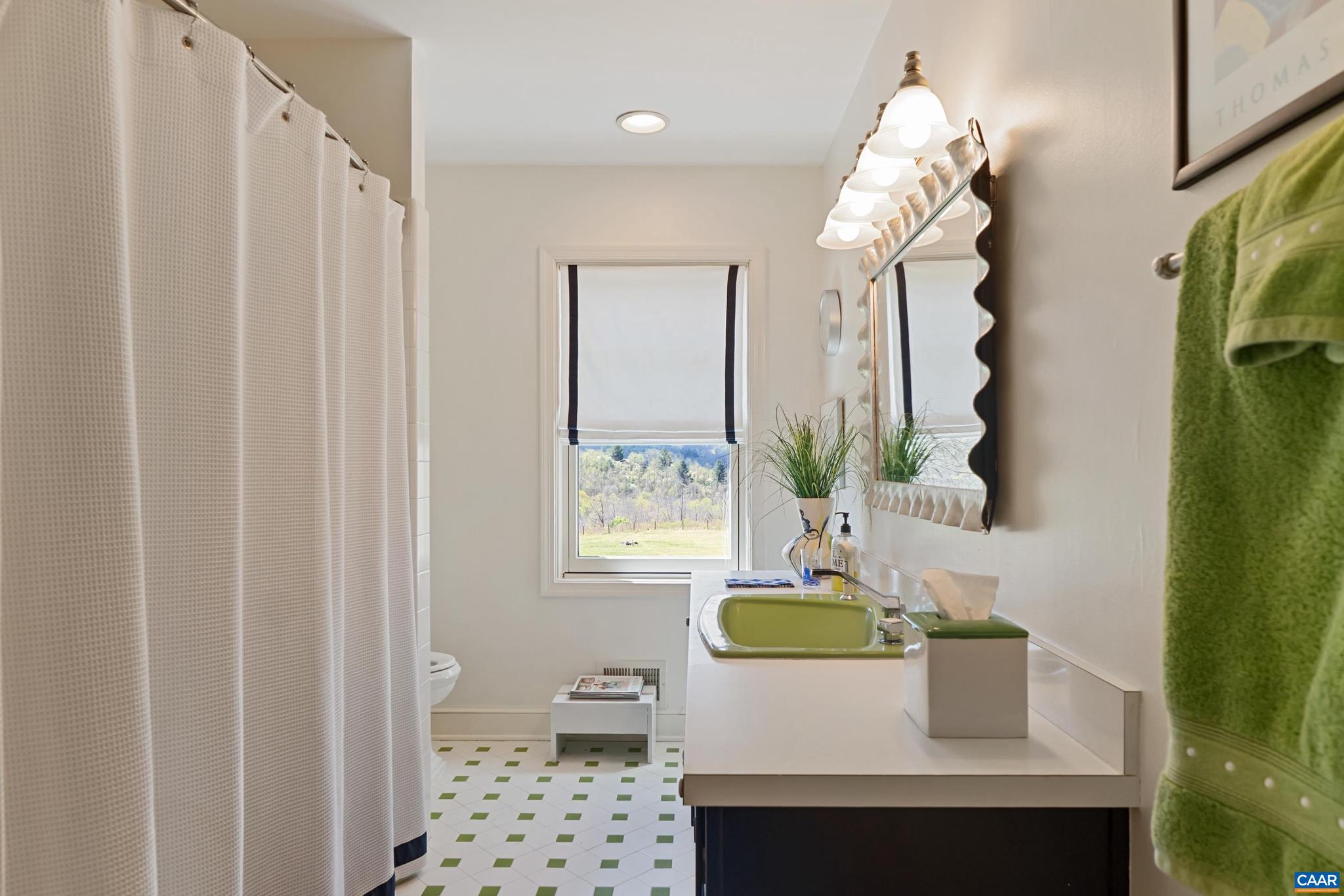 5614 Hot Springs Road Hot Springs, VA 24445 - Photo 46 of 74