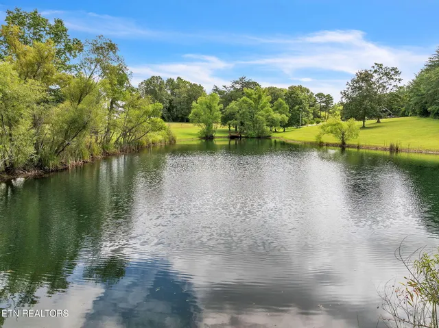 $325,000 | 319 Four Mile Creek Road, Deer Lodge, TN 37726