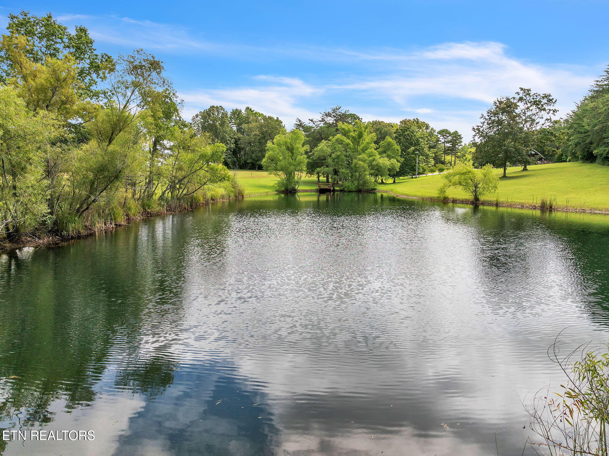 319 Four Mile Creek Road Deer Lodge, TN 37726 - Photo 10 of 44 14-web-or-mls-Four Mile Creek--66
