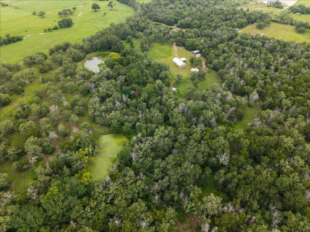 608 Whistleville Road Flatonia, TX 78941 - Photo 22 of 26 20 acres, fenced all the way around!