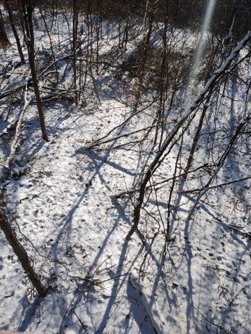 57640 St John Road Quaker City, OH 43773 - Photo 25 of 51 View From Tree Stand