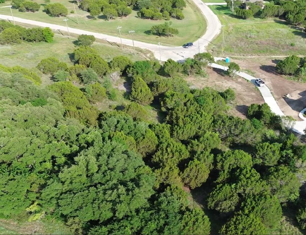 1129 County Road Nemo, TX 76070 - Photo 10 of 29 a view of a lush green forest
