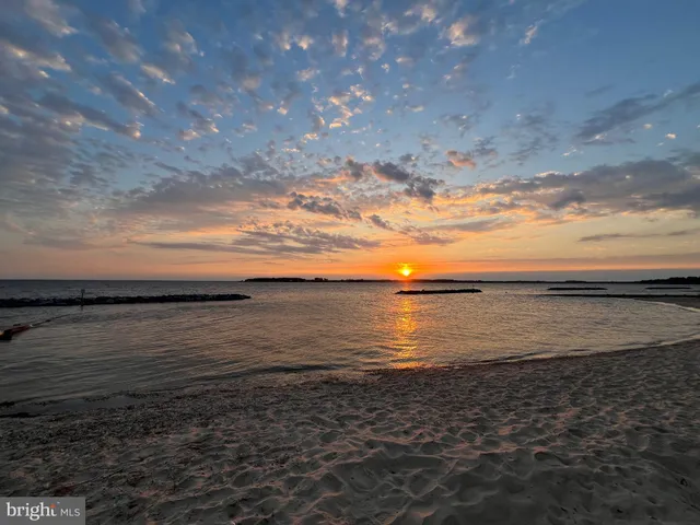 a view of a forest with trees