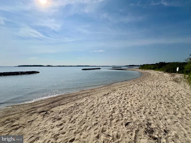 a view of a lake with a beach