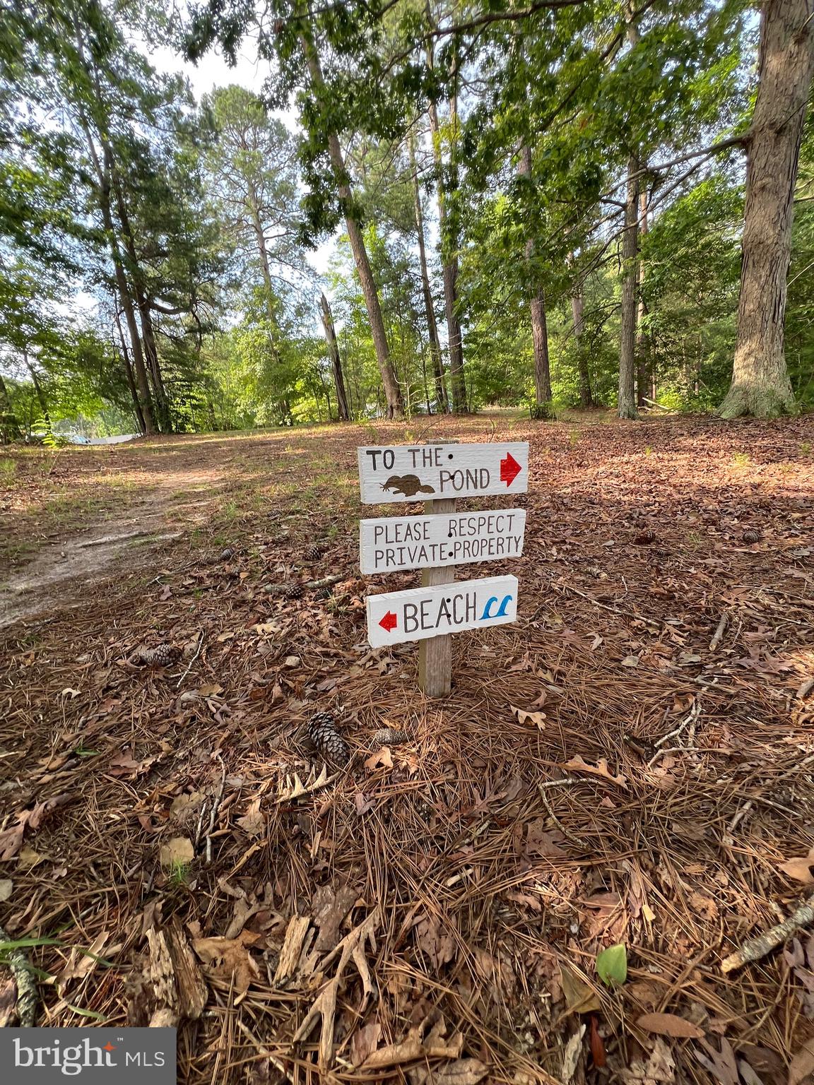 Tbd Lot 184 Tbd Montross, VA 22520 - Photo 49 of 64 Walking Trails Leading to Beach#4
