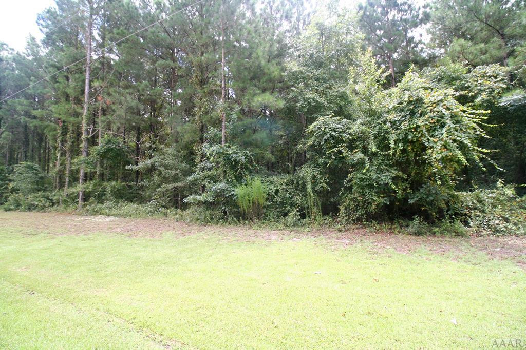 Tbd Woods Lane Roper, NC 27970 - Photo 1 of 5 Main View