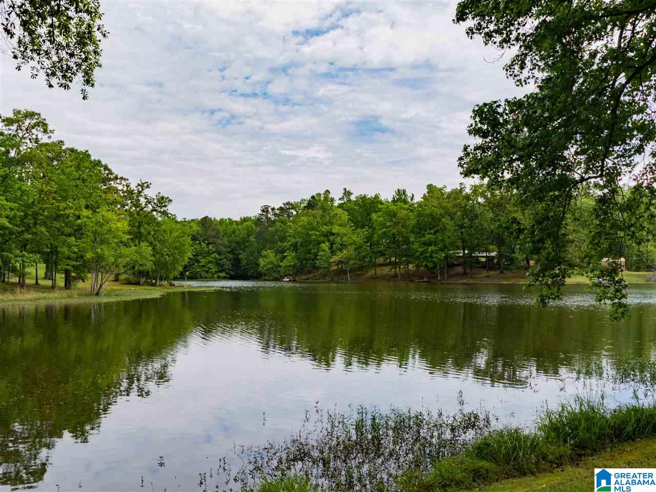 364 Green Mist Road Sylacauga, AL 35150 - Photo 7 of 23