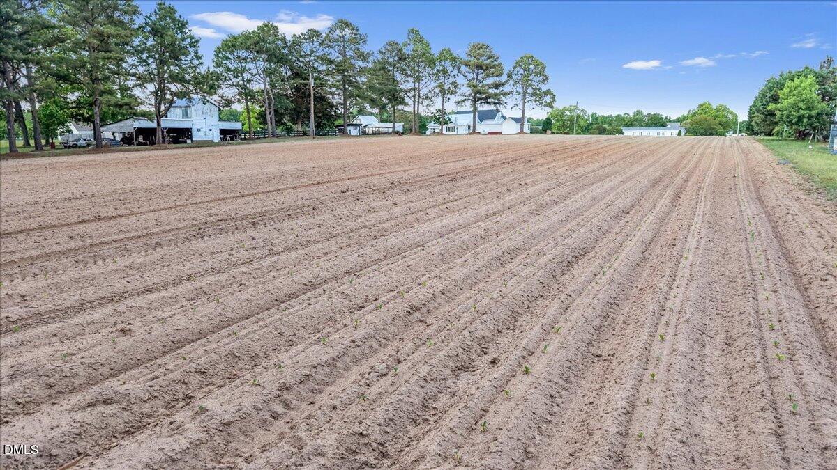 0 Beulahtown Road Kenly, NC 27542 - Photo 4 of 7