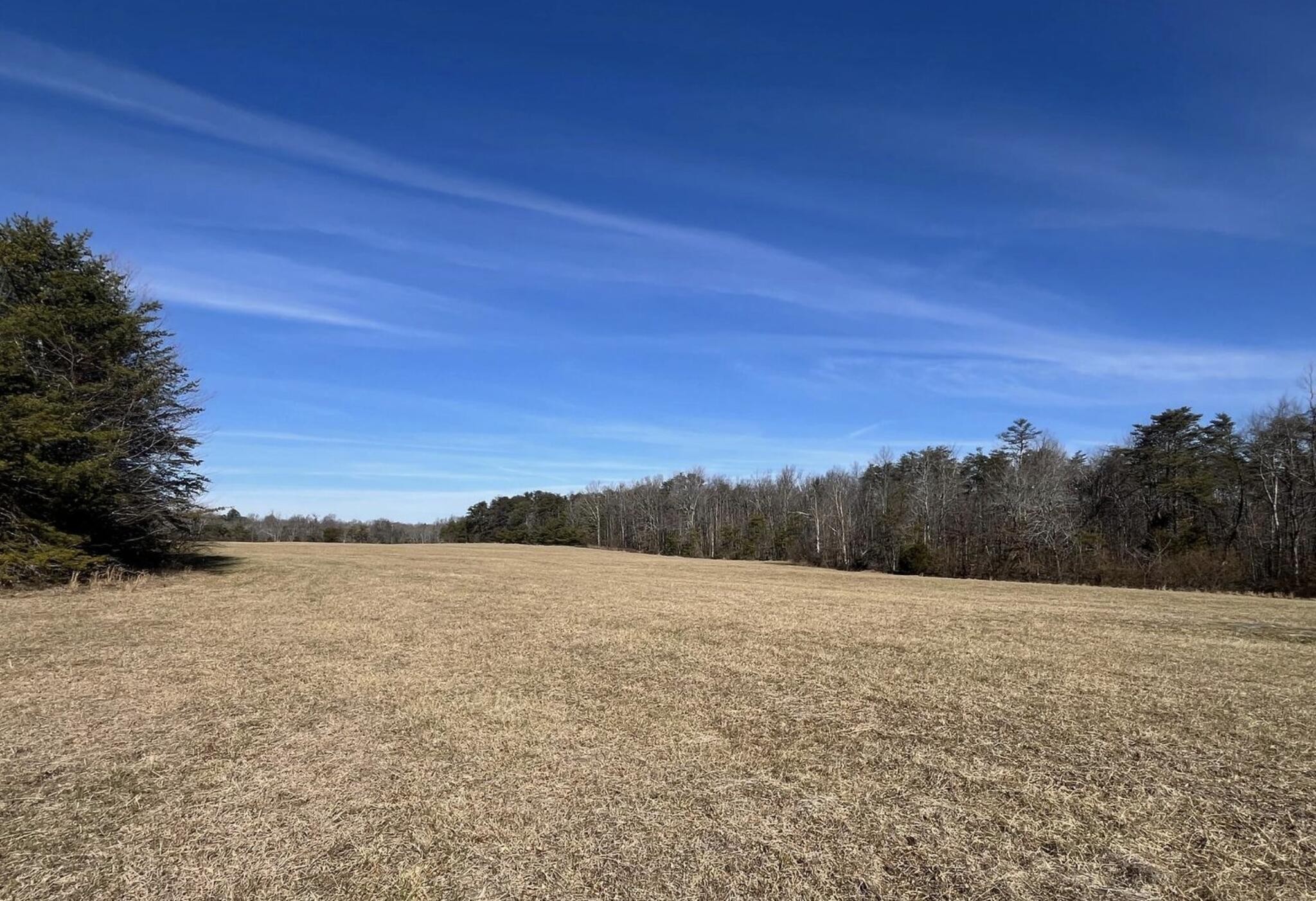 0 Brayton Road Graysville, TN 37338 - Photo 3 of 5 Gallery Image 3