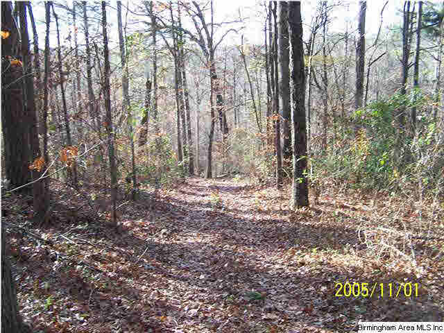 281 Timmerman Road Blountsville, AL 35031 - Photo 9 of 9