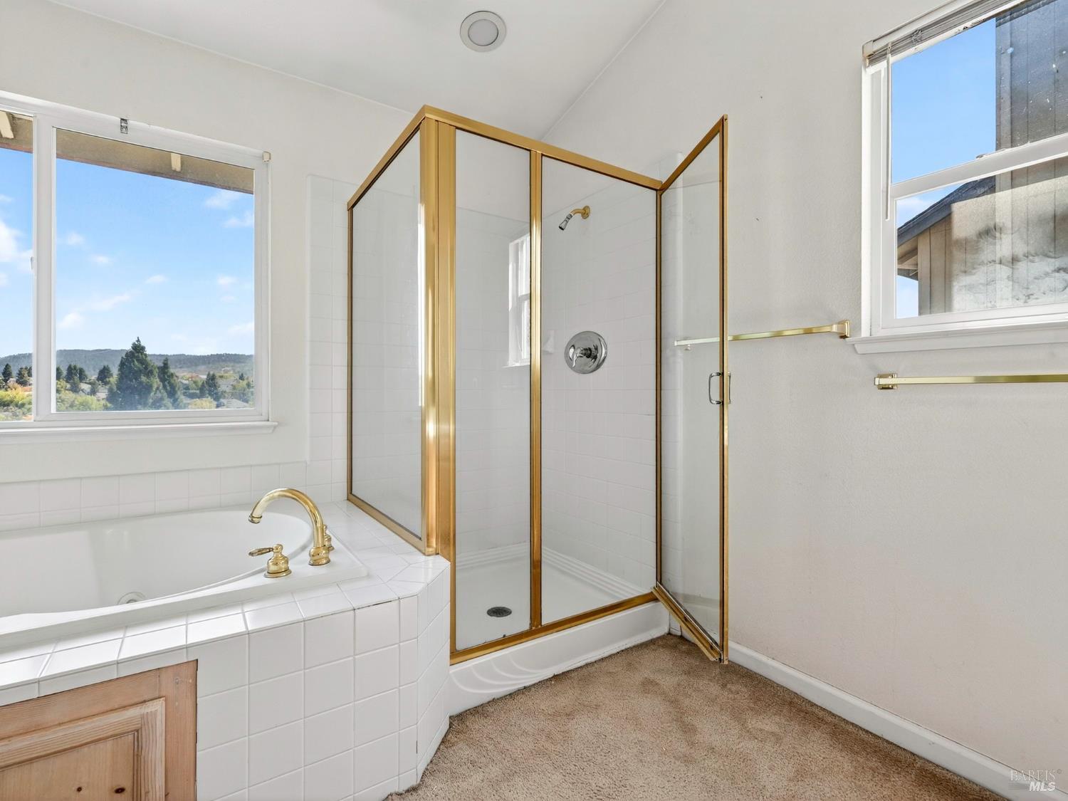 5794 Owl Hill Avenue Santa Rosa, CA 95409 - Photo 45 of 56 a bathroom with a bathtub and a shower