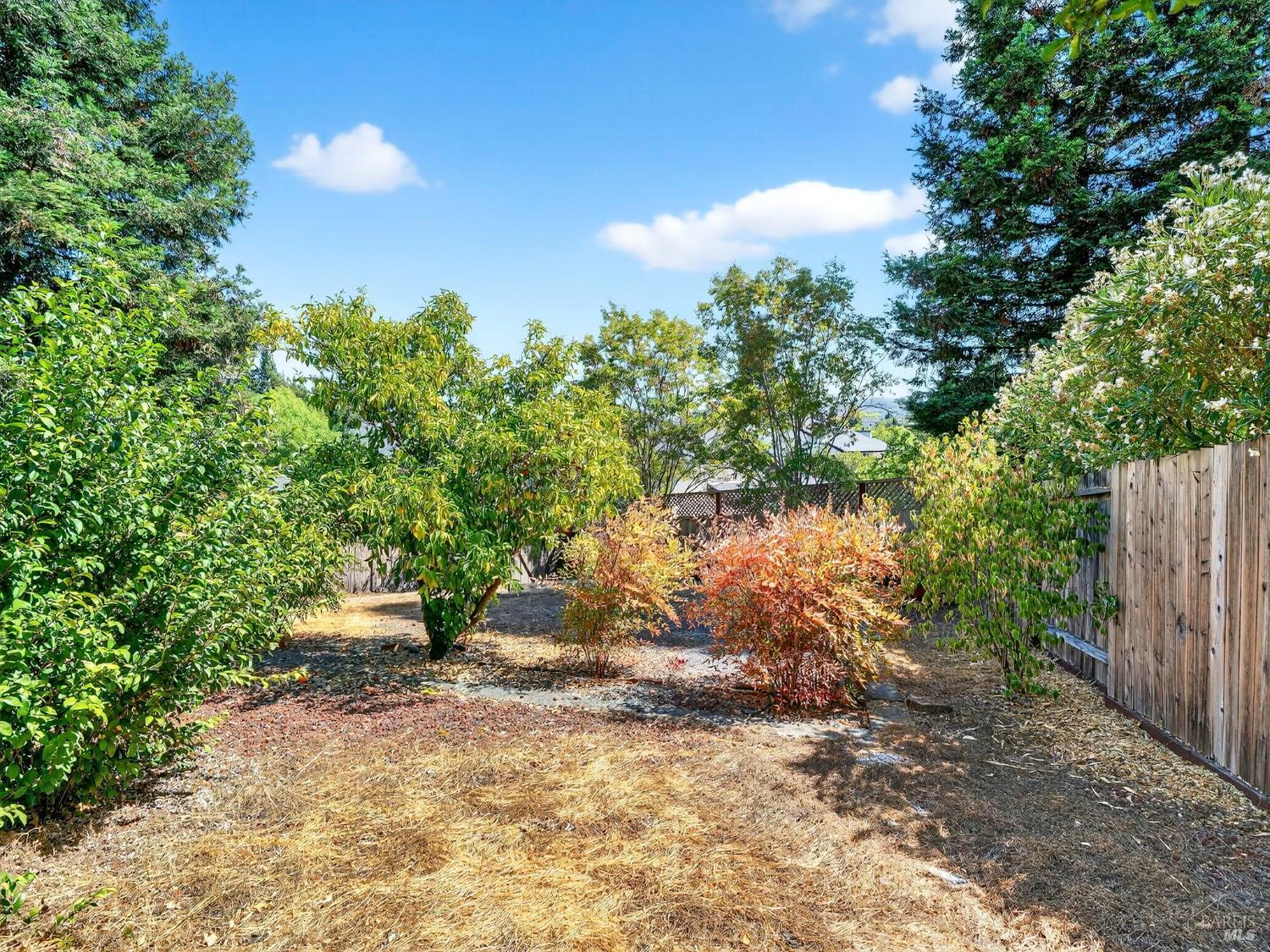 5794 Owl Hill Avenue Santa Rosa, CA 95409 - Photo 54 of 56