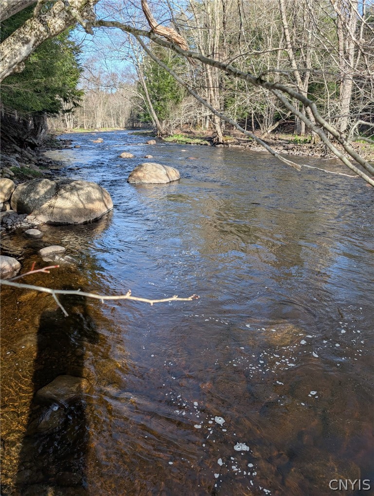 Voorhees Road Dolgeville, NY 13329 - Photo 1 of 11