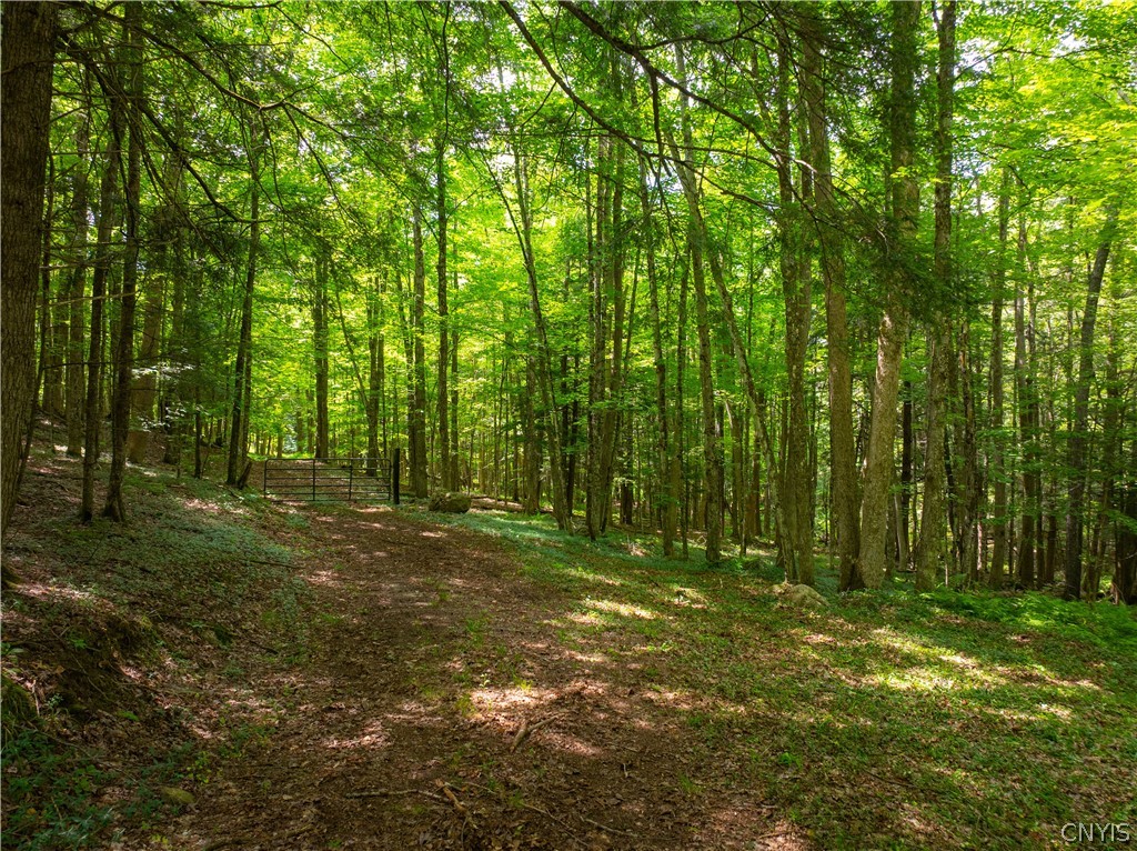 Voorhees Road Dolgeville, NY 13329 - Photo 4 of 11