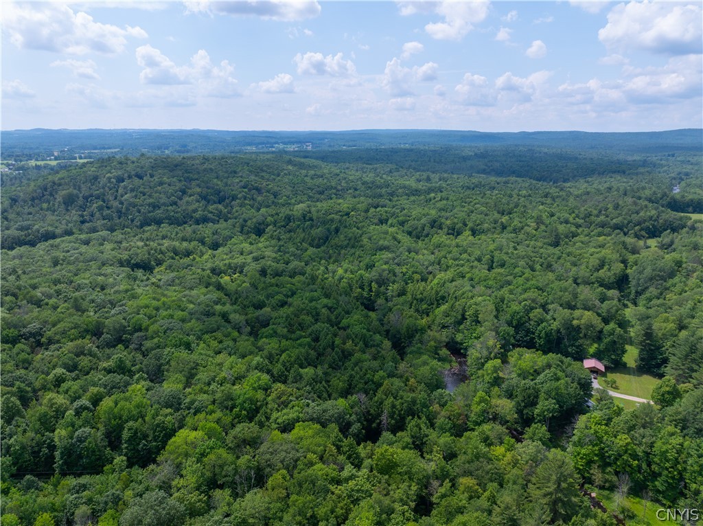 Voorhees Road Dolgeville, NY 13329 - Photo 7 of 11