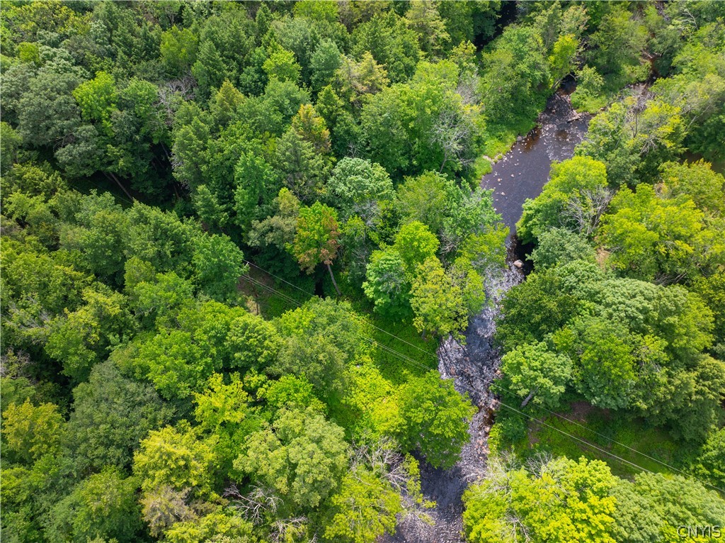 Voorhees Road Dolgeville, NY 13329 - Photo 9 of 11