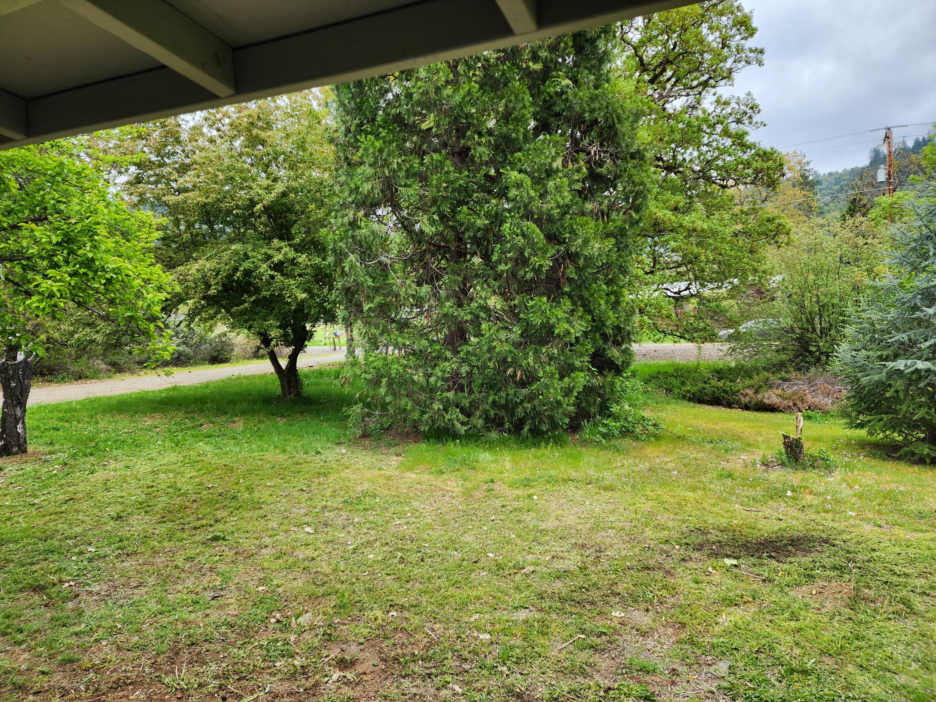 2100 Laurel Road Cave Junction, OR 97523 - Photo 18 of 19 Front yard