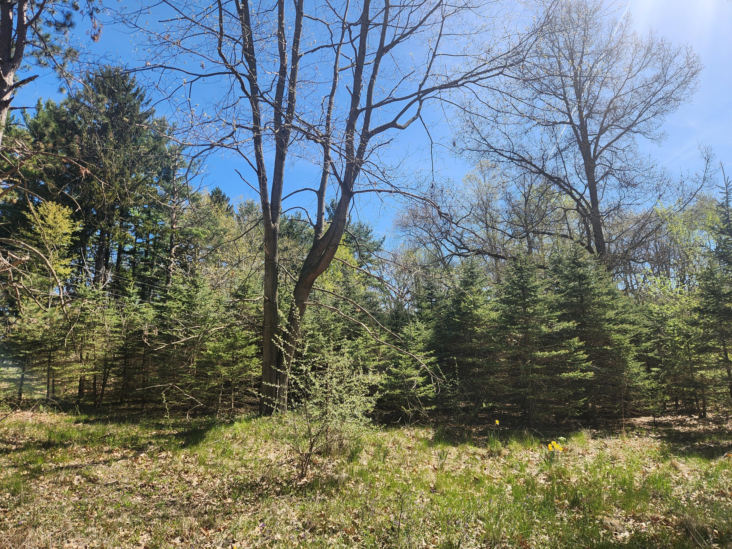 1760 Baker Road Dexter, MI 48130 - Photo 1 of 6 1760 Baker Rd